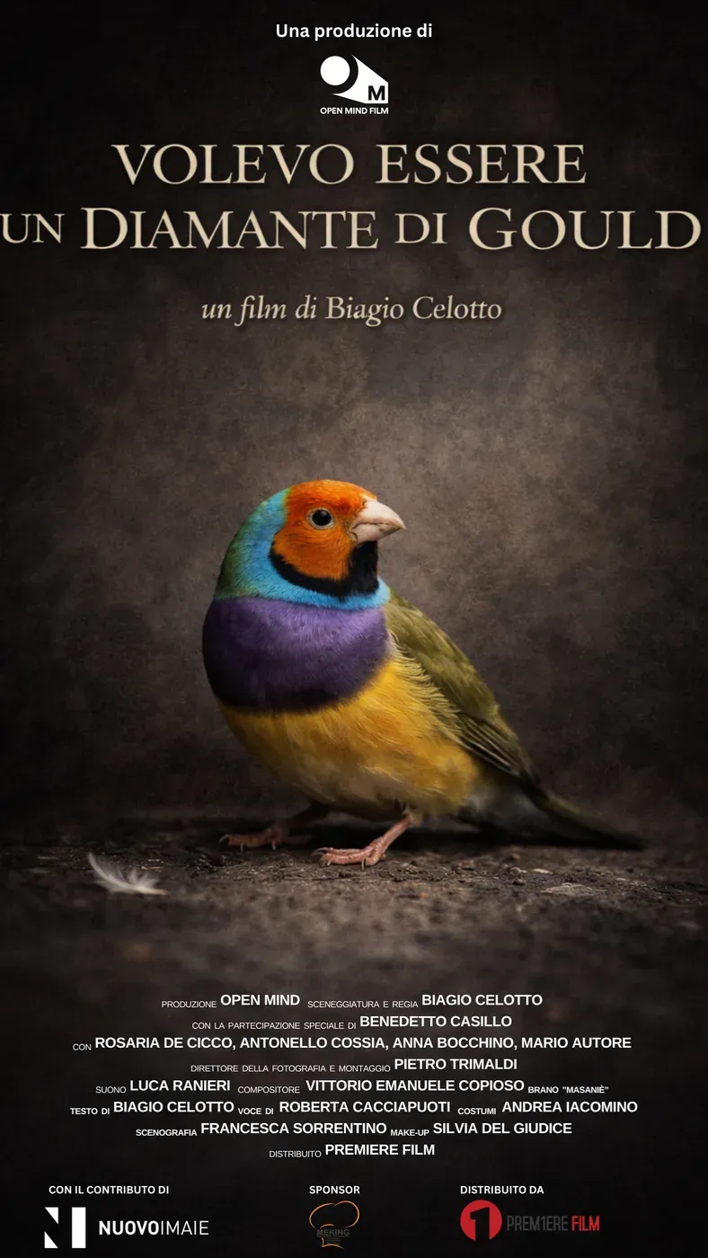 Locandina di Volevo essere un diamante di Gould